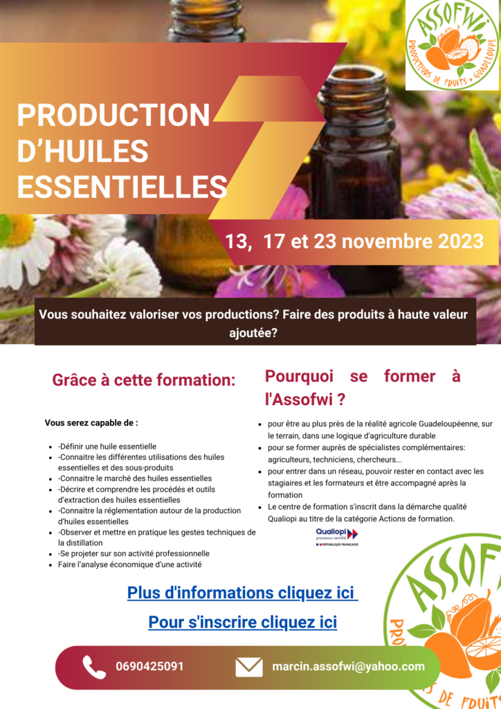 Formation Production d'huiles essentielles 2023 Assofwi — free download